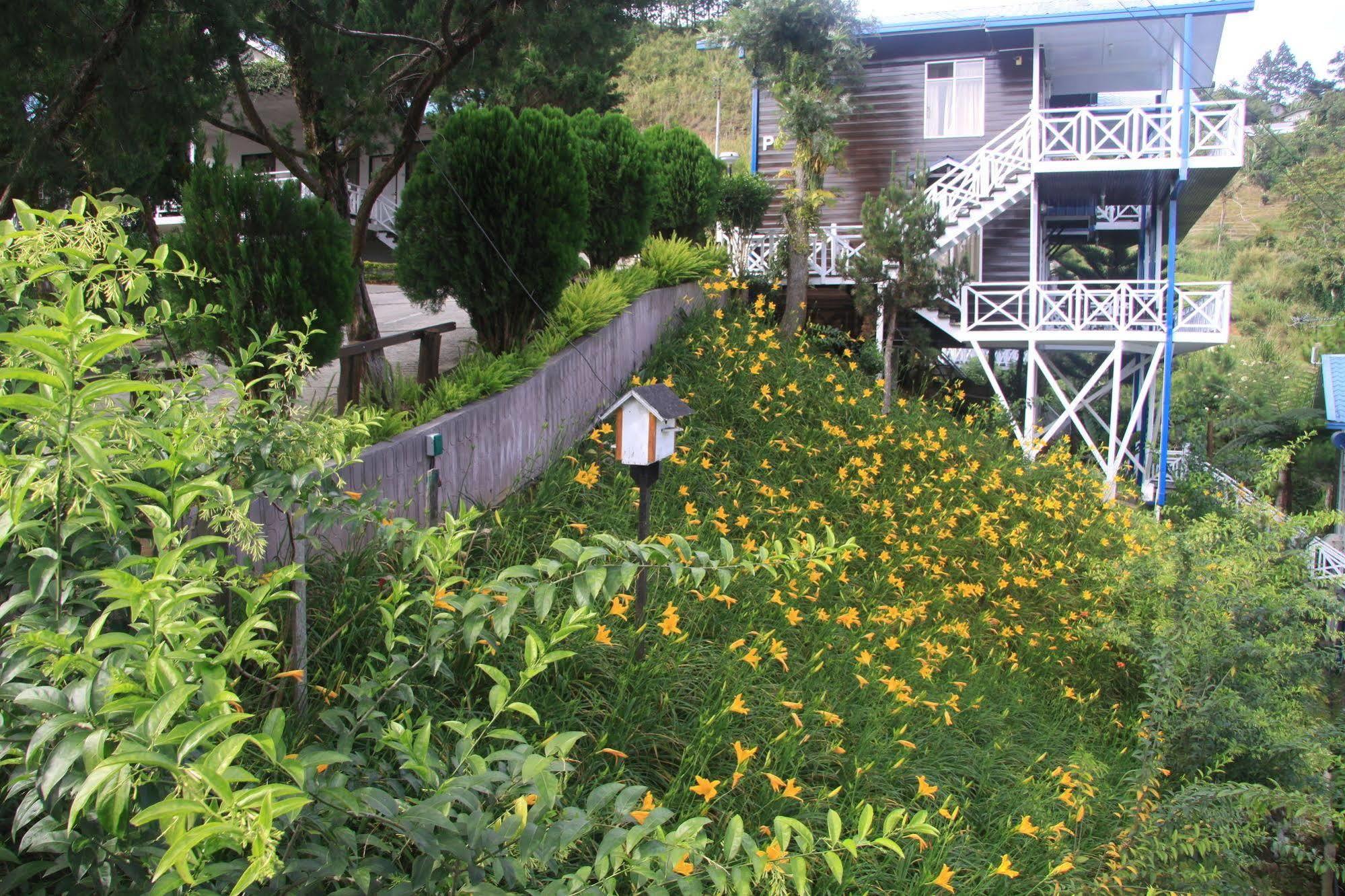 Kinabalu Pine Resort Kampong Kundassan Extérieur photo